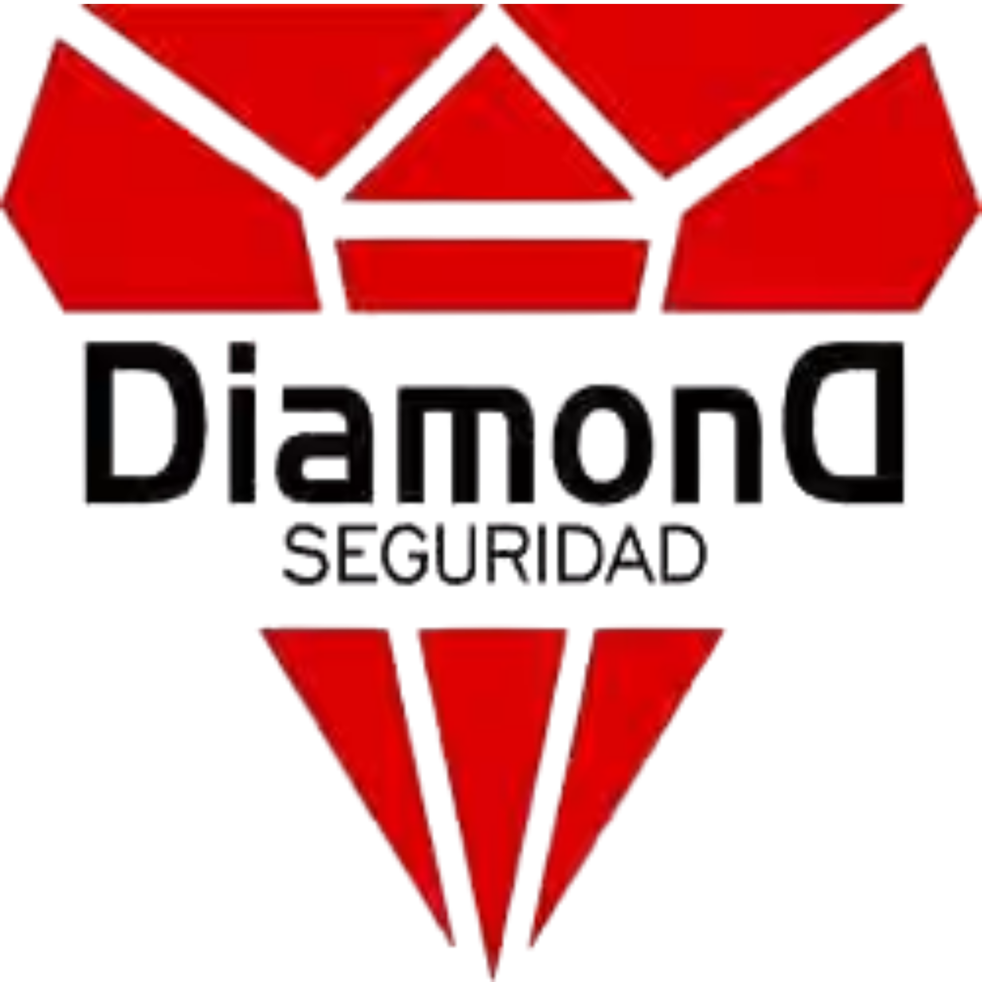 Diamond Seguridad
